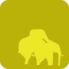 Elephants